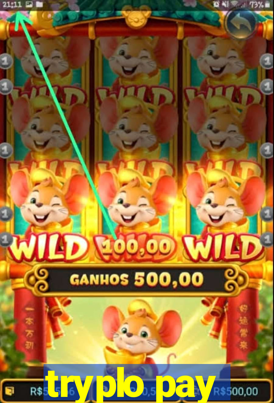 tryplo pay
