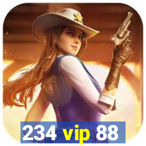 234 vip 88
