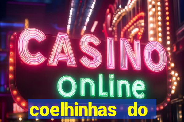 coelhinhas do brasil recife