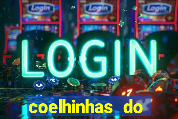 coelhinhas do brasil recife
