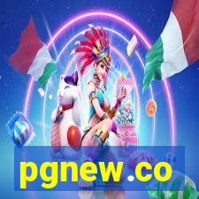 pgnew.co