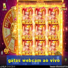 gatas webcam ao vivo