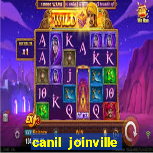 canil joinville vila nova