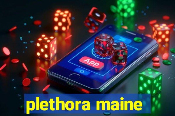 plethora maine
