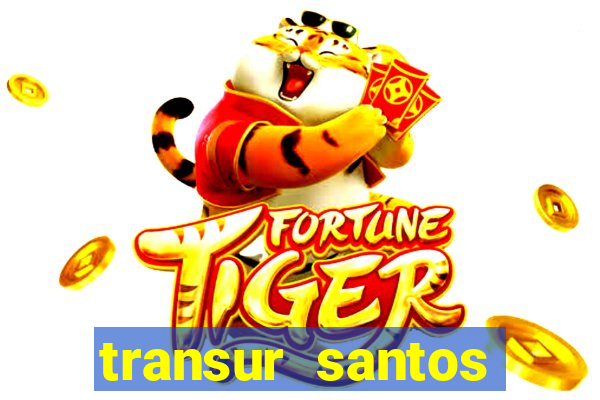 transur santos dumont x juiz de fora 2024