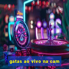 gatas ao vivo na cam