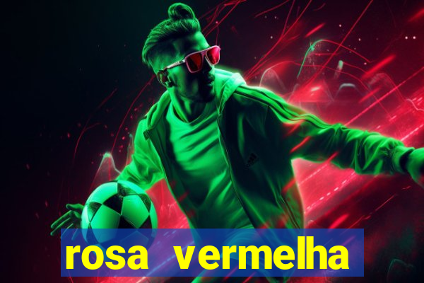 rosa vermelha (letra e cifra)