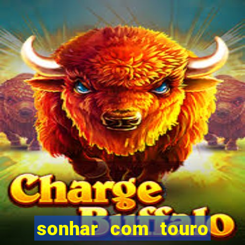 sonhar com touro bravo no mundo espiritual