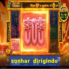 sonhar dirigindo carro jogo do bicho