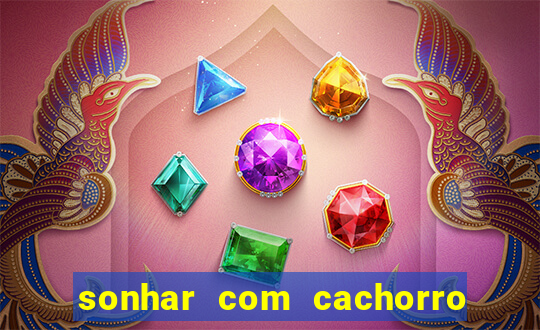 sonhar com cachorro cruzando jogo do bicho
