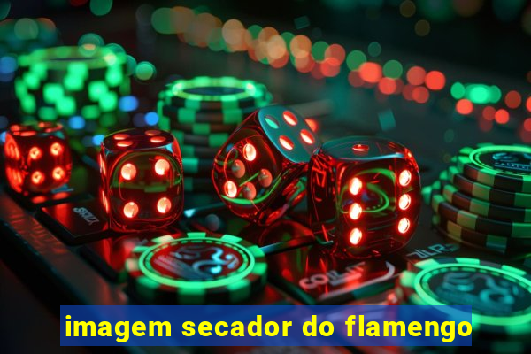 imagem secador do flamengo