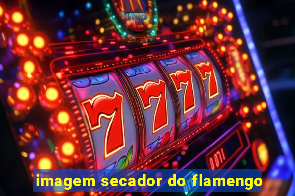 imagem secador do flamengo