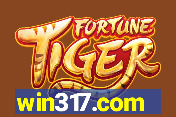 win317.com