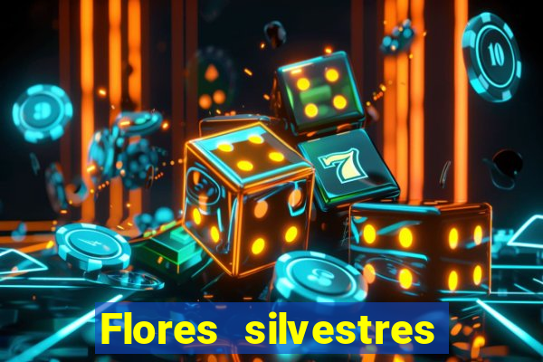 Flores silvestres brasileiras 25