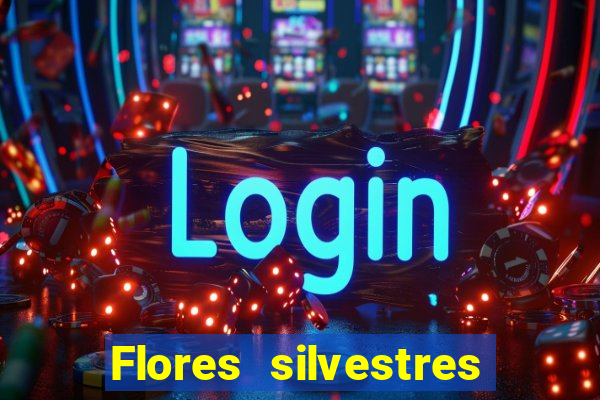 Flores silvestres brasileiras 25