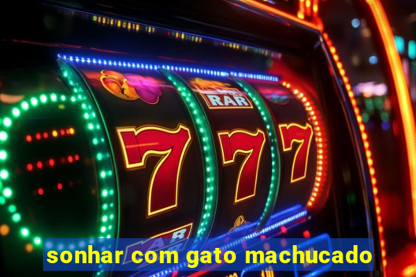 sonhar com gato machucado