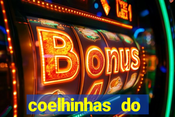 coelhinhas do brasil site