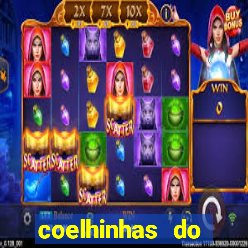 coelhinhas do brasil site
