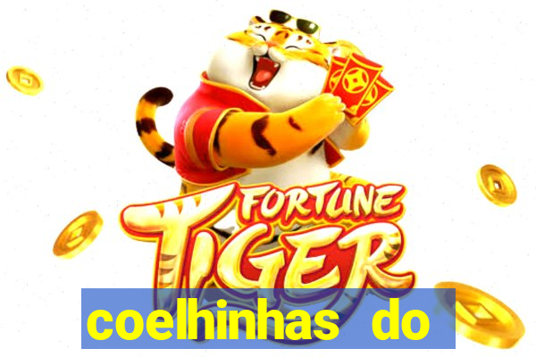 coelhinhas do brasil site