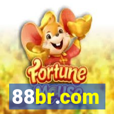 88br.com