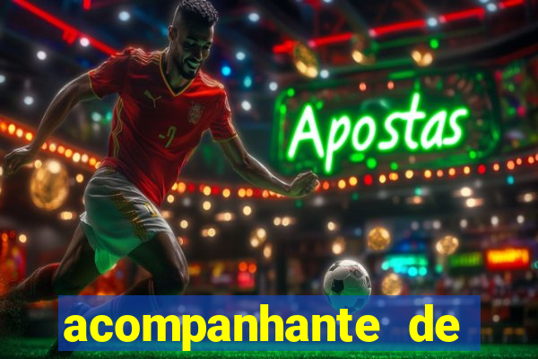 acompanhante de porto belo