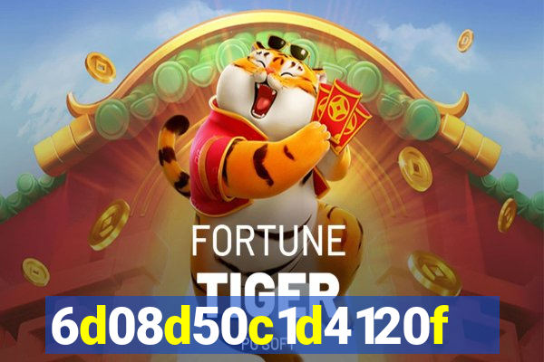 312bet plataforma