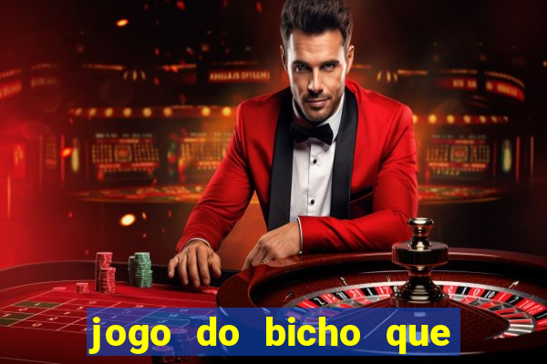 jogo do bicho que paga no pix