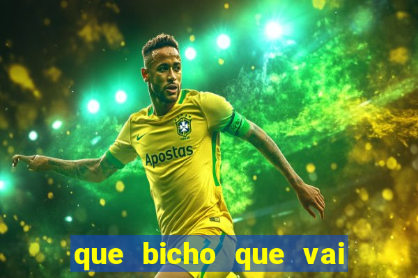 que bicho que vai dar hoje