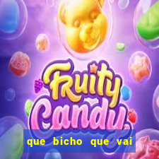 que bicho que vai dar hoje