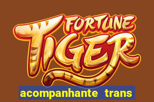 acompanhante trans baixada fluminense