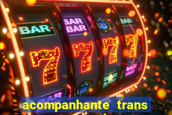 acompanhante trans baixada fluminense