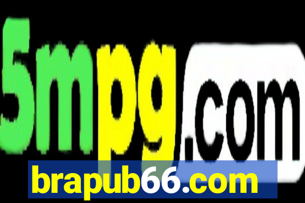 brapub66.com