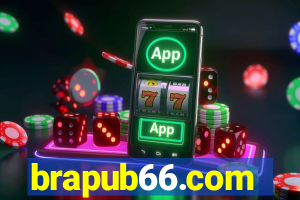 brapub66.com