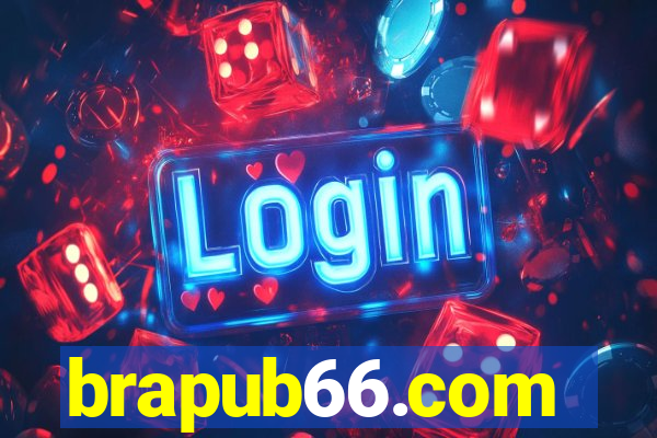 brapub66.com