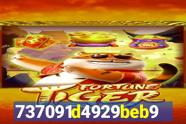 plataforma bet917.com