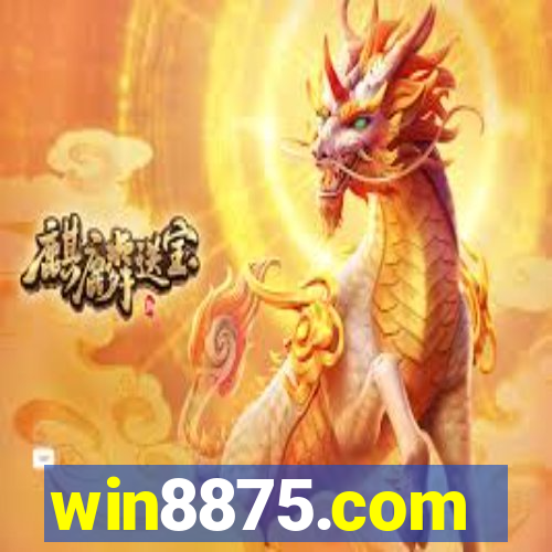 win8875.com