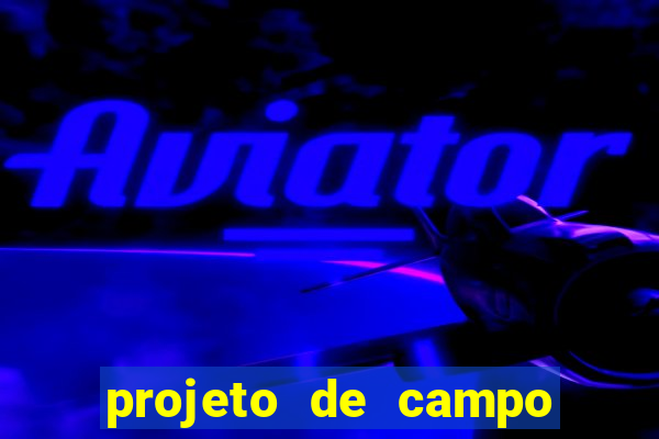 projeto de campo de futebol em cad