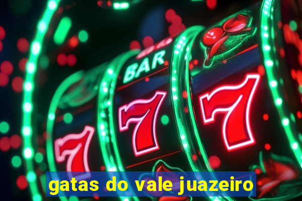 gatas do vale juazeiro