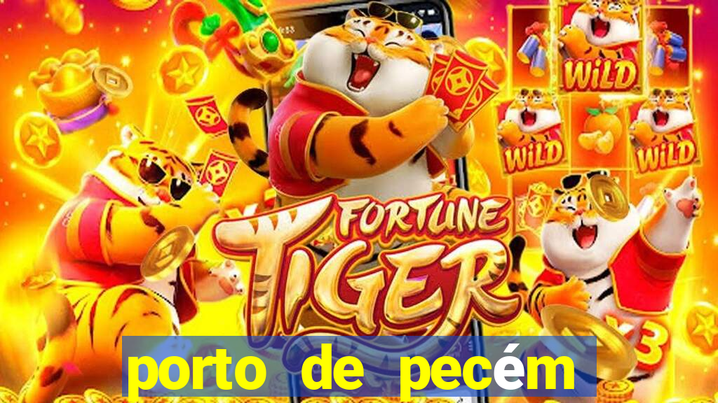 porto de pecém programação de navios