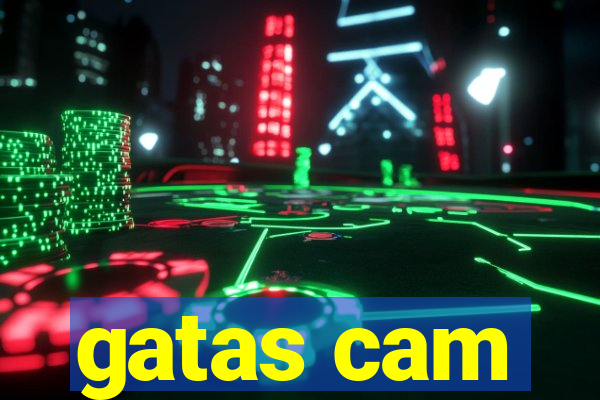 gatas cam