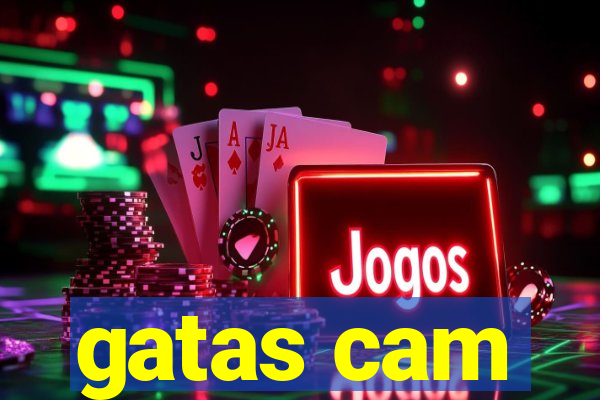 gatas cam