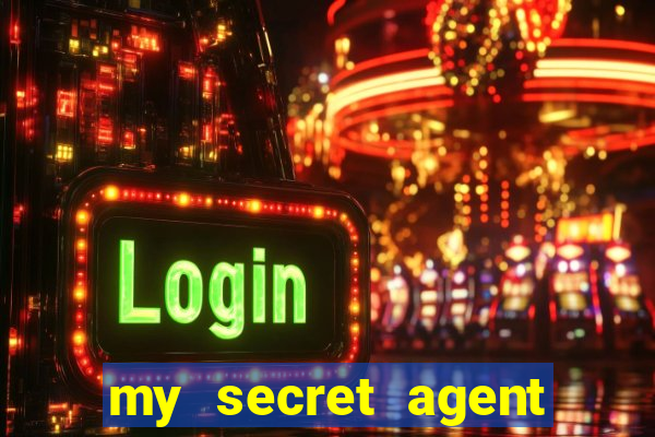 my secret agent husband legendado