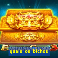quais os bichos que mais saem na federal