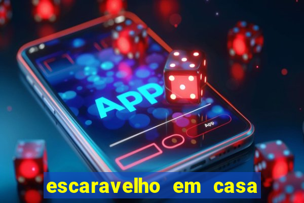 escaravelho em casa significado espiritual