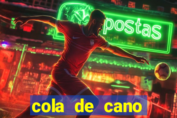 cola de cano quanto tempo para secar