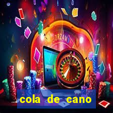 cola de cano quanto tempo para secar