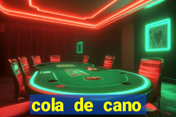cola de cano quanto tempo para secar