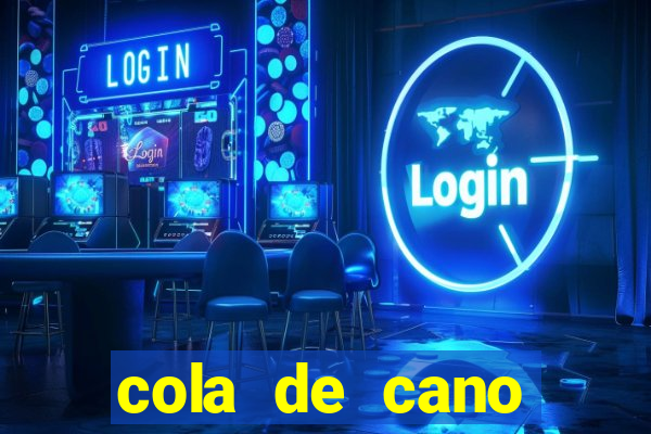 cola de cano quanto tempo para secar