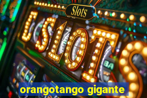orangotango gigante