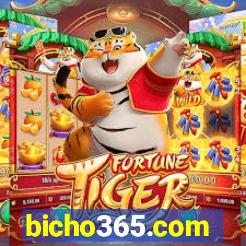 bicho365.com